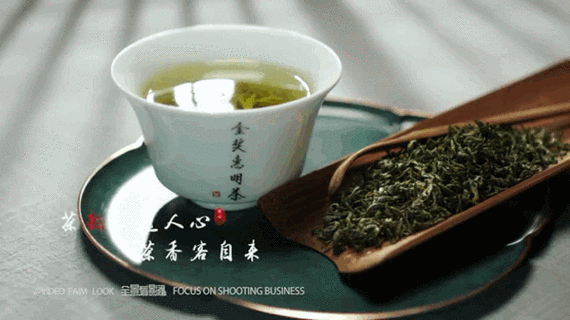 传统手工制作出畲乡的春天金奖惠明茶欲饮一杯否