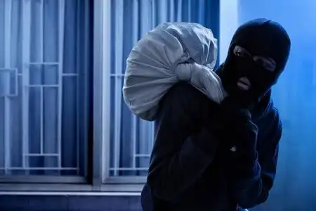 蒙面的河豚图片