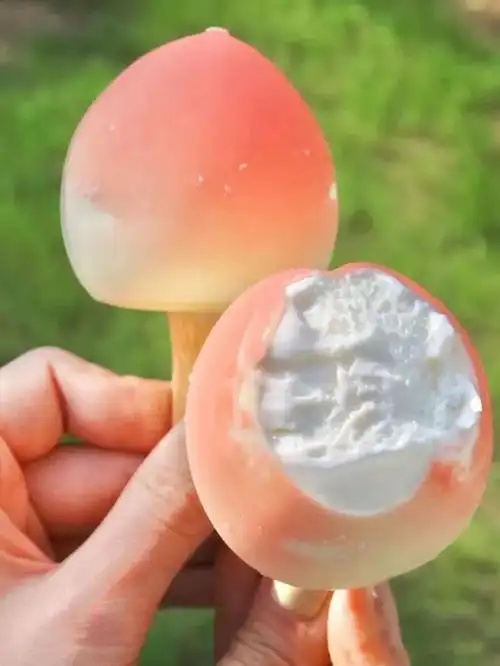 网红雪糕我吃不起还躲不起吗