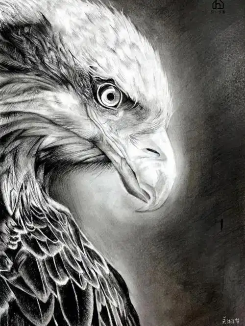 弘一书画学员优秀素描作品