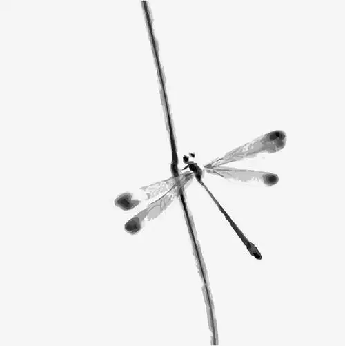 中国风水墨花蜻蜓矢量图