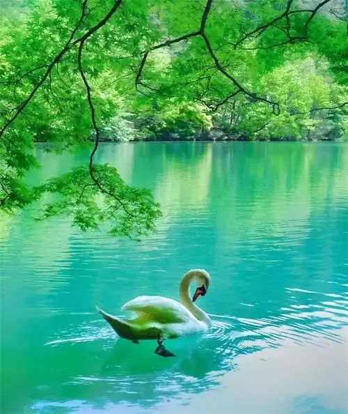 养眼图片看完太舒服了