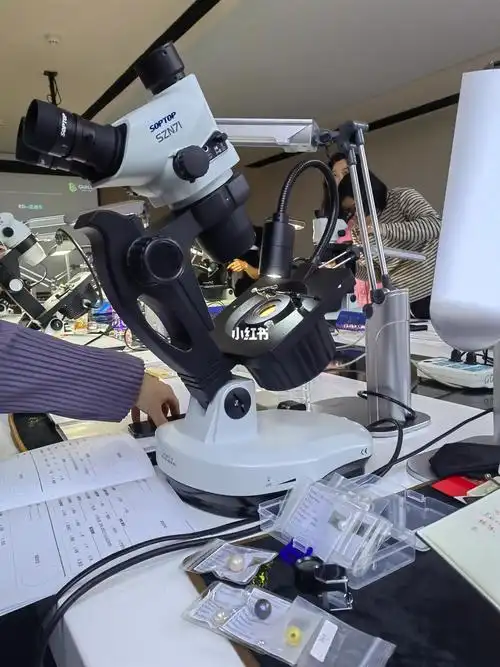 guild美国吉尔德实验室诸暨第一届