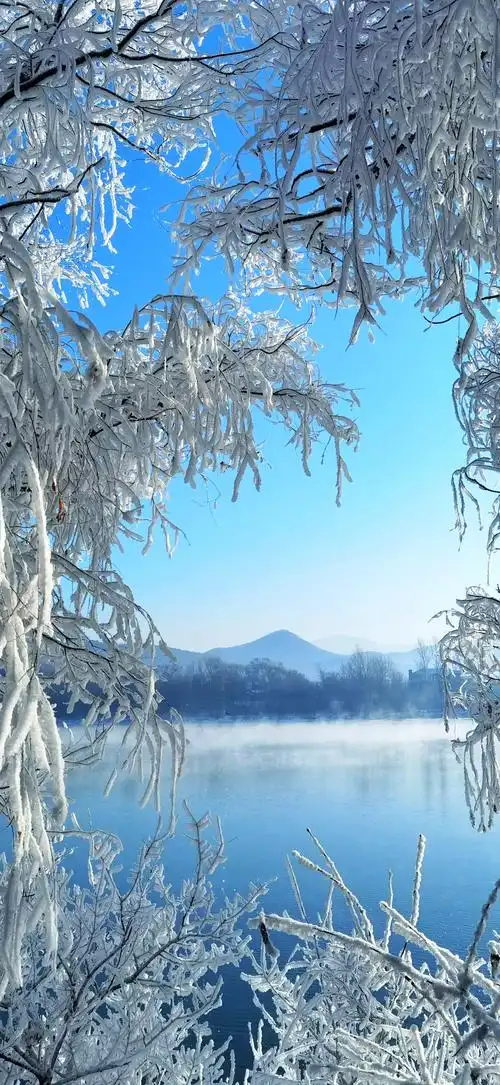 吉林雾凇奇观,松花江冬日美景令人陶醉