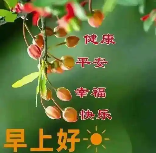 早上好,收藏真诚的祝福,愿我们永远的开心,永远平安,让我们每一天的