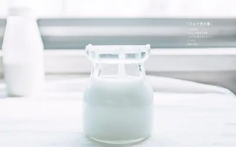 日系小清新静物摄影奶白色背景电脑桌面壁纸