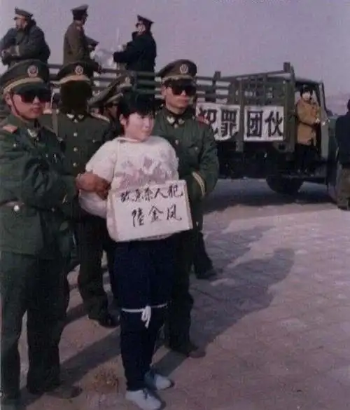 母亲去世后,陆金凤再也没有一个可以亲近的家人了,悲愤交加的继父和