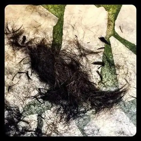 柯震东剪掉大把头发11日,柯震东微博秀近照,一张是地上有剪掉的大把