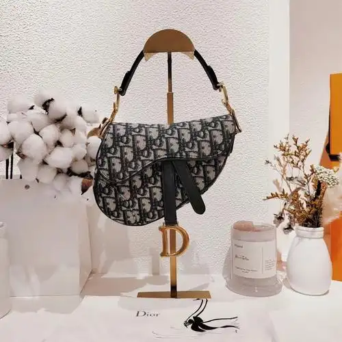 dior迪奥马鞍包saddle蓝色印花小号