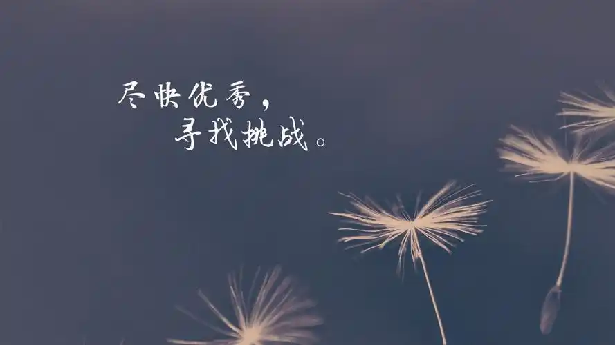 朋友圈正能量带字说说配图,非主流-回车桌面