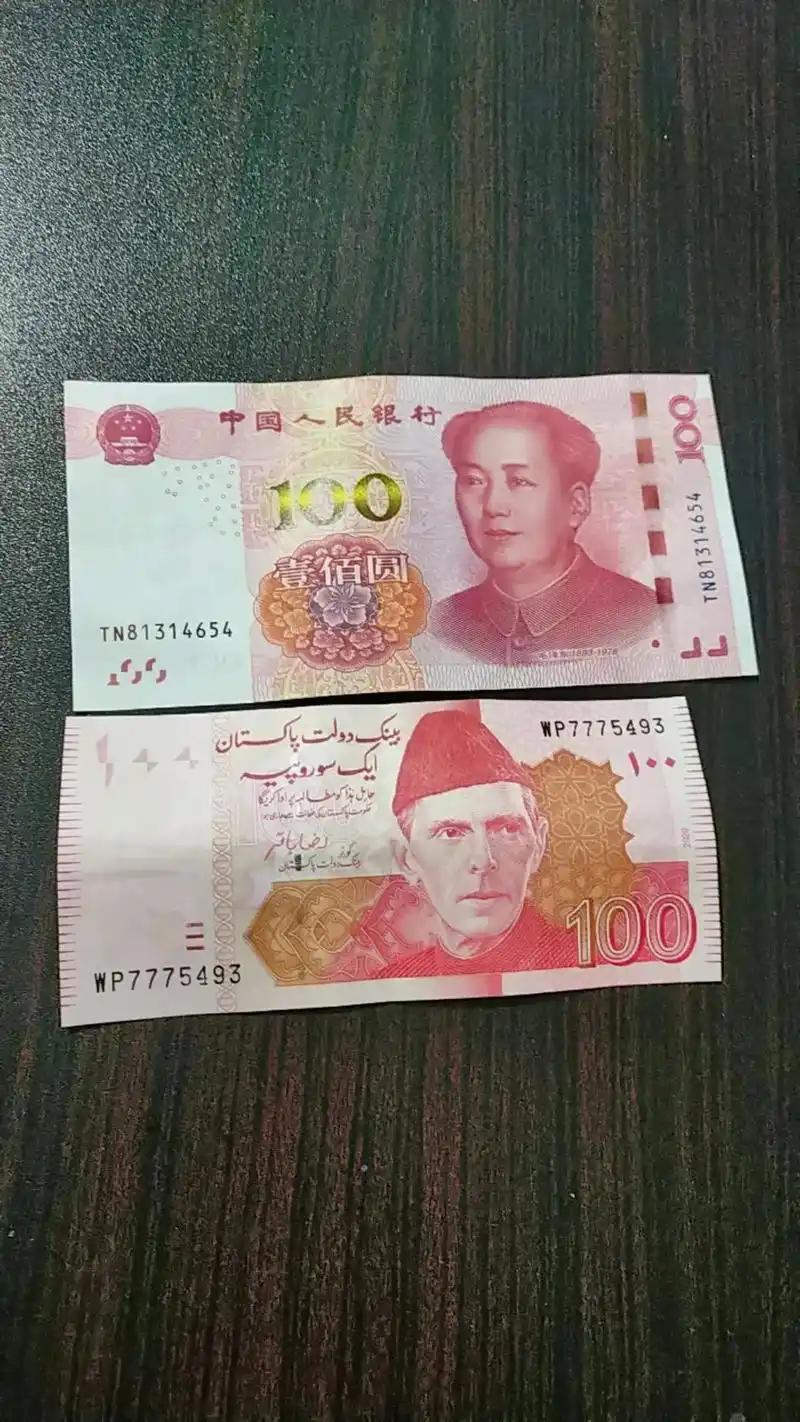 人民币呀人民币 给一部分人科普一下巴基斯坦面值100的纸币 - 抖音