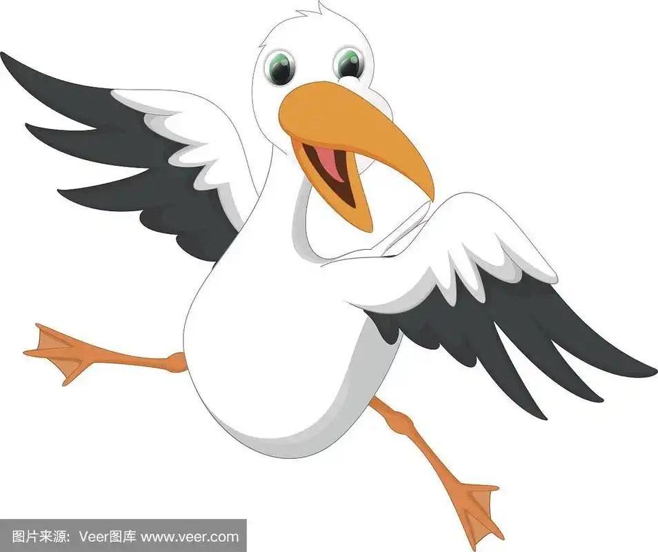 卡通可爱的海鸥