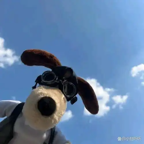 一批个性微信头像