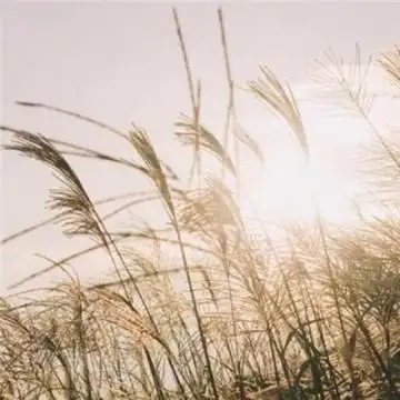 2019最火爆微信头像男简约成熟 星光不问赶路人时光不负有心人