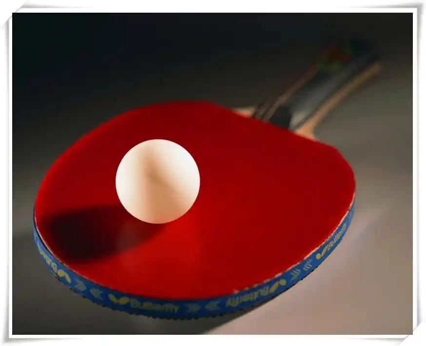 乒乓球十大品牌乒乓球哪个品牌好