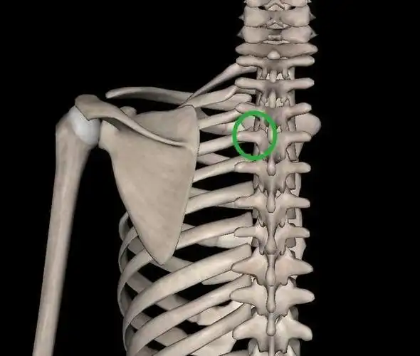 右肩胛骨疼痛大半年怎么回事