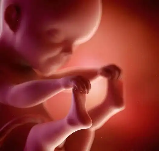 怀孕时胎儿有这2种表现,可能是在向你喊"救命",孕妈长点心吧