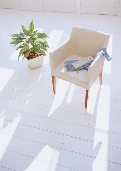 阳光照进的房间图片第12张