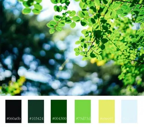 夸这是独一无二的西大色卡