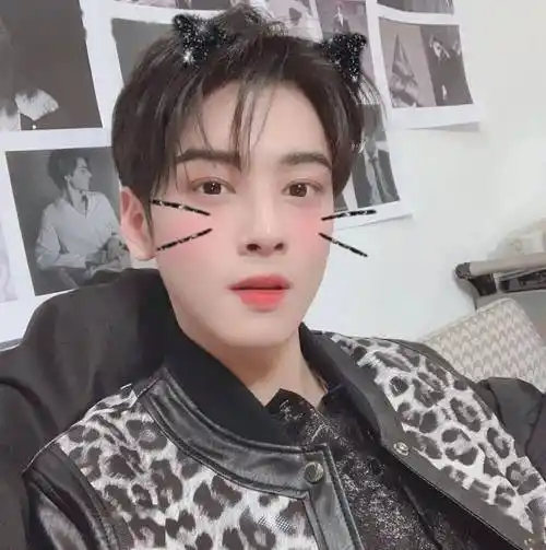 微信头像车银优