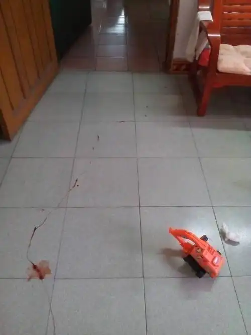 清早起床,看见地上一摊血,是凶兆吗?