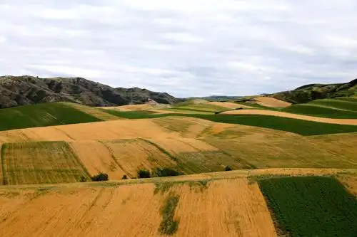 麦田 写美篇沈家沟村归属于木垒县东城镇,山明水秀,金泉,银泉风景秀丽