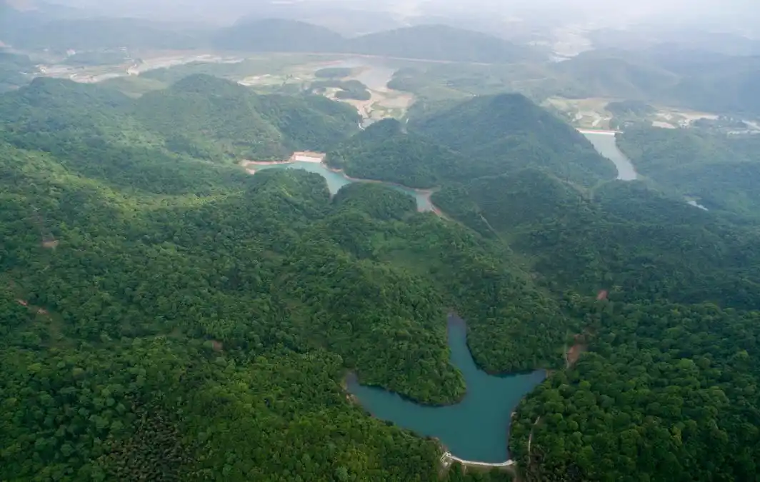 津市旅游景点哪里好玩