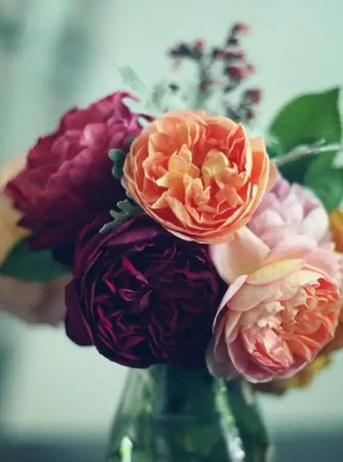 原创致自己2020年的简短句子精致唯美触动心灵