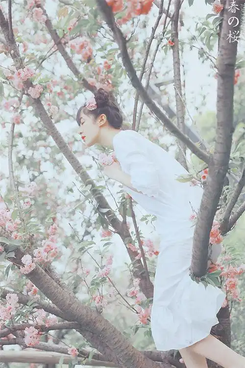 唯美花季长发少女高清手机桌面壁纸下载_美女_手机壁纸下载_美桌网