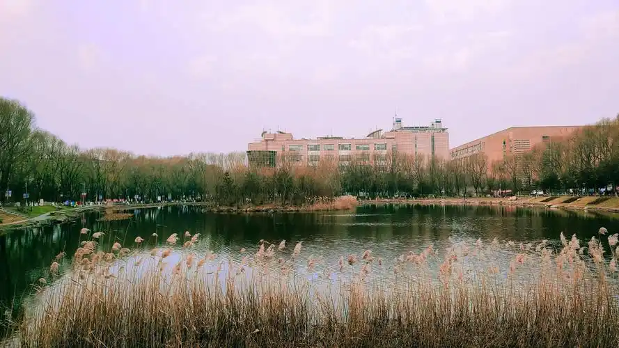 其它 校园初冬 ( 2 ) ——吉林大学中心校区 写美篇照片拍摄时间:2020