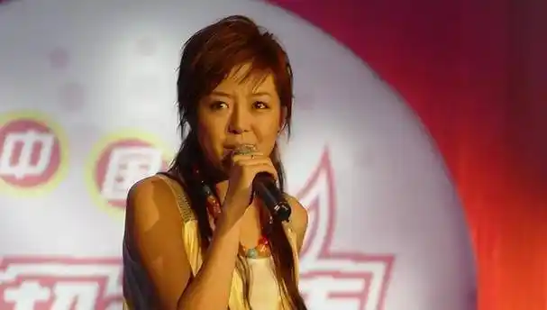 安又琪:凭《超级女声》爆红,如今"失业",她是资本的牺牲品吗_公司