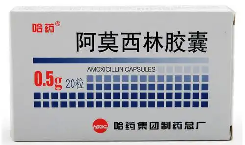 哈药阿莫西林胶囊