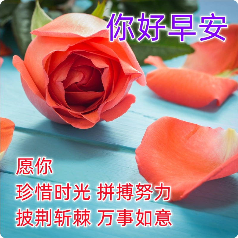 最美早安问候祝福图片 最新漂亮早上好图片