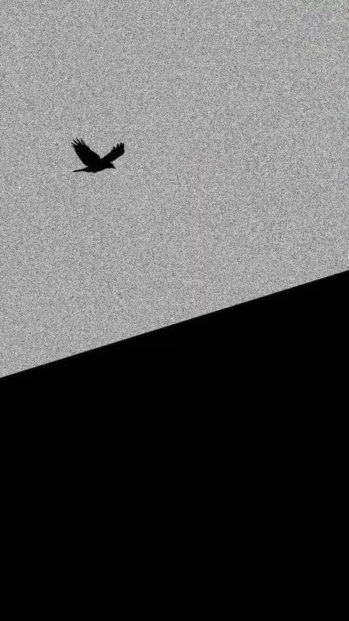 黑白风格的壁纸,冷的很高级