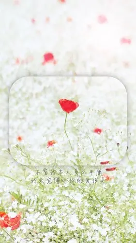 创意唯美花朵文字短句