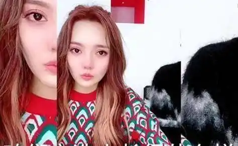 原创风波过后辛巴和妻子吃炸鸡秀恩爱女徒弟们现身三亚蹦迪嗨翻天