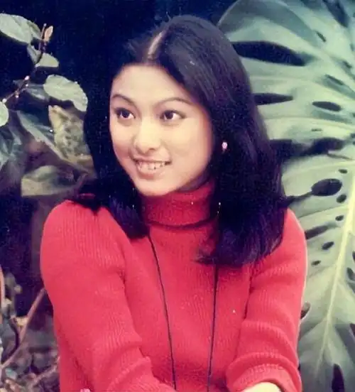 米雪主演古装电视剧(第一部金庸剧女主角)(5)