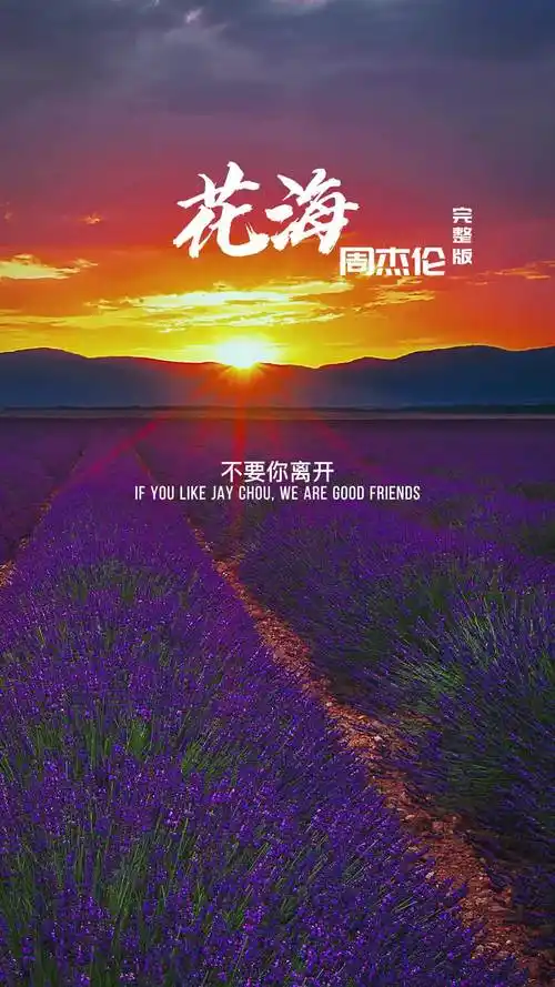 不要你离开回忆划不开周杰伦花海收录在周杰伦2008年10月1