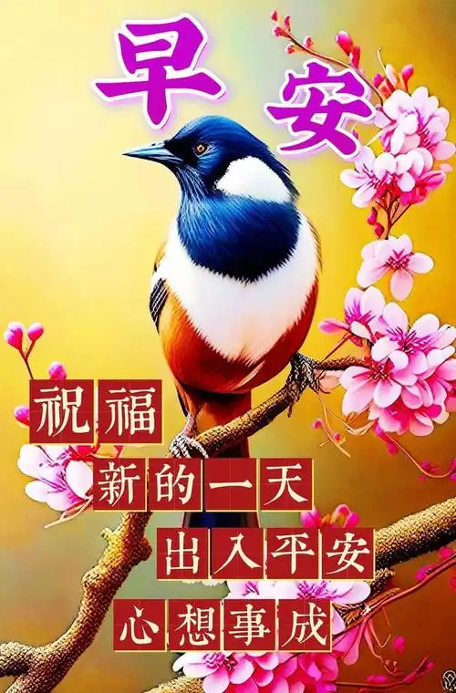 早安图片早安祝福图片问候语新的一天健健康康吉祥如意