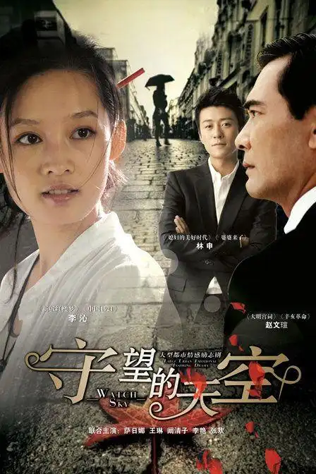守望的天空