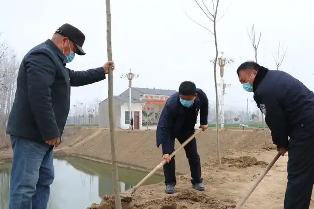 鹿邑思路一转天地宽高集乡变废为宝造林忙