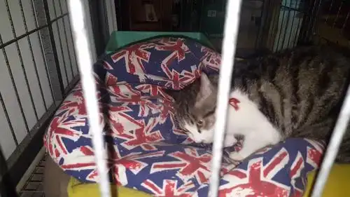 灵异异闻录之黄泉路上阴森森