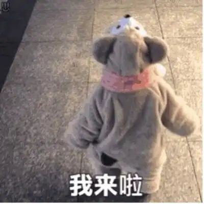 我来啦表情包可爱