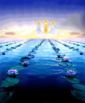 来自一封忏悔着的信 中国佛教寺院网