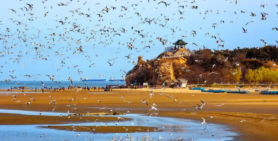 秦皇岛市北戴河鸽子窝公园美景.(受访单位供图)