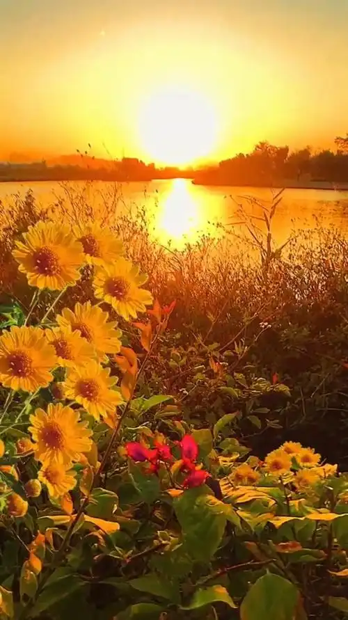 治愈风景欣赏:人心不能温暖你的,但是太阳可以