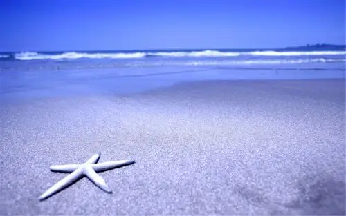 夏日唯美白色沙滩高清桌面壁纸