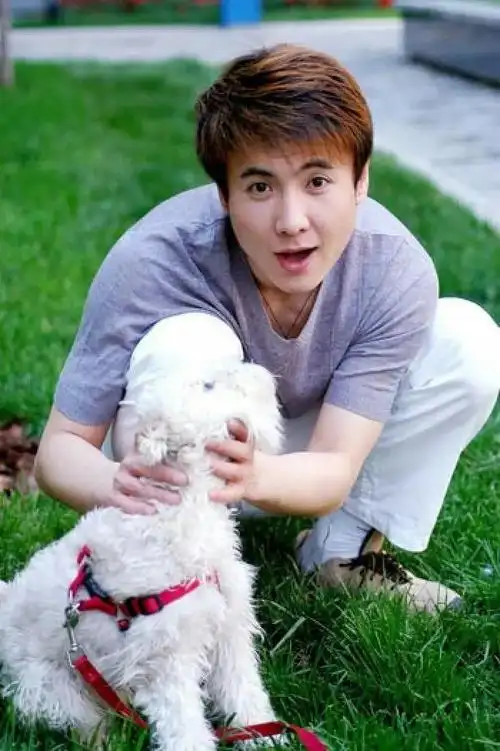 军艺校草到如今的喜剧之王,沈腾竟然不是家里最优秀的孩子