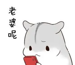 老婆呢 - 说了多少次 老婆要听话 (小仓鼠)_仓鼠表情-发表情