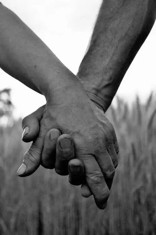 正面,爱情,草地,草坪,植物,欧洲,欧洲人,双手,阴影,光线,影子,浪漫